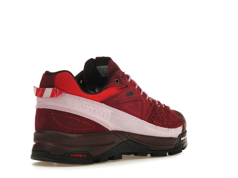 Salomon X-Alpages Gore-Tex The Broken Arm