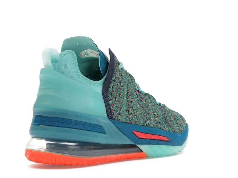 Nike LeBron 18 We Are Family