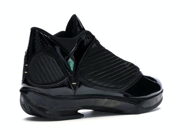Jordan 2009 S23