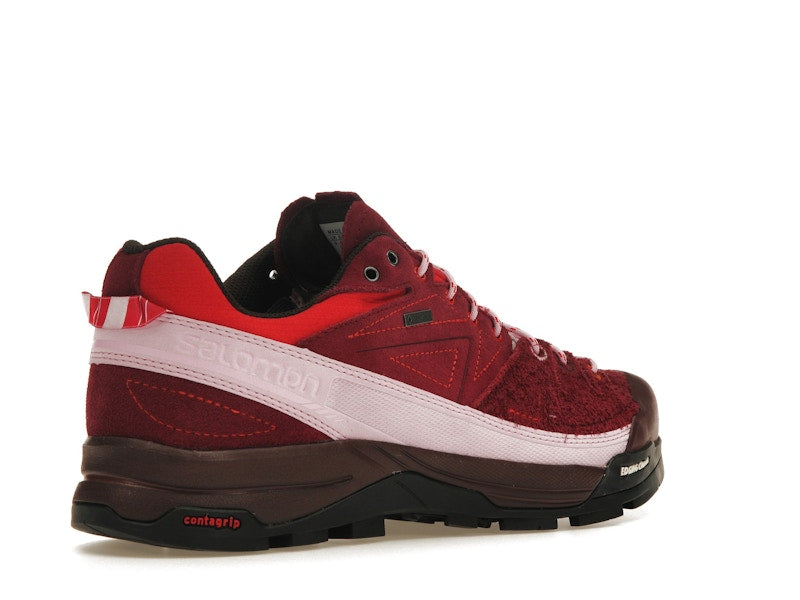 Salomon X-Alpages Gore-Tex The Broken Arm