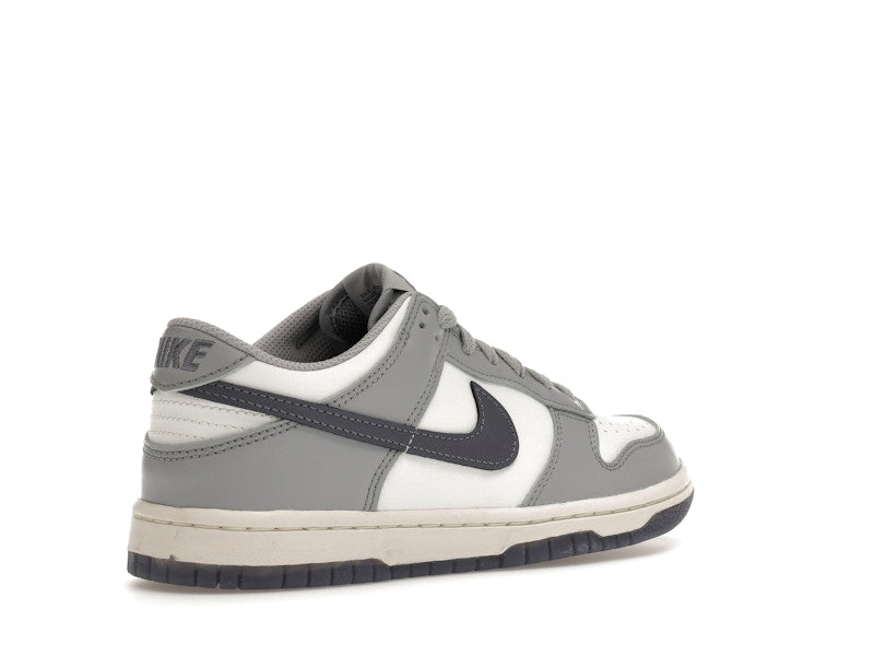 Nike Dunk Low Platinum Tint Light Carbon (GS)