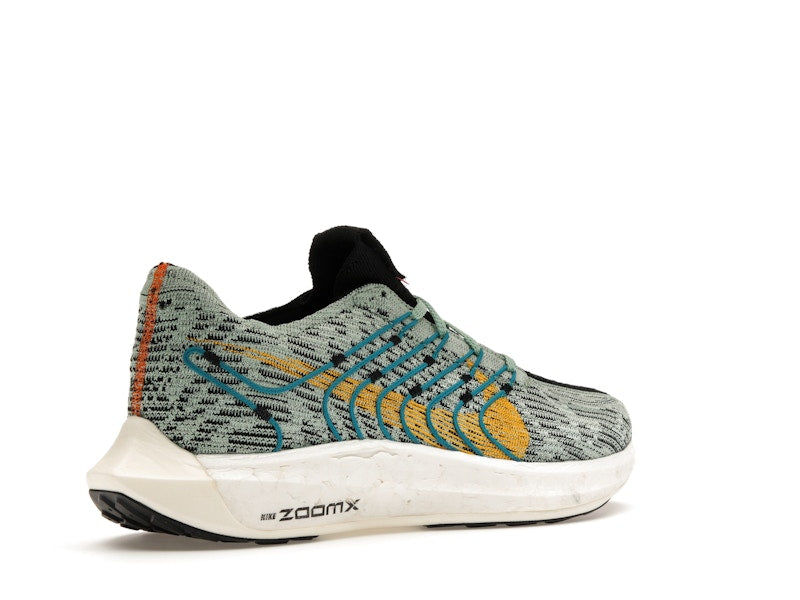 Nike Pegasus Turbo Next Nature 5 Borough Tour