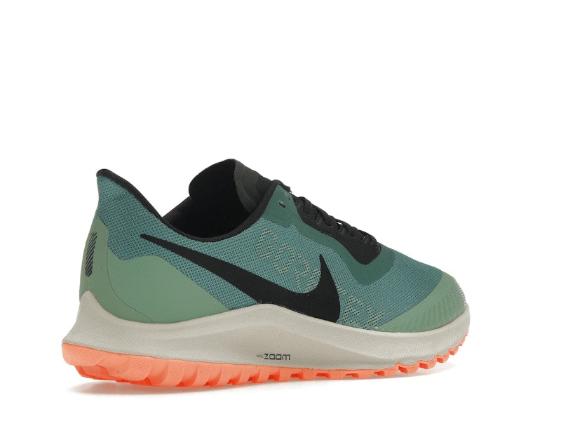 Nike Zoom Pegasus 36 Trail Gore-Tex Bicoastal (Women's)