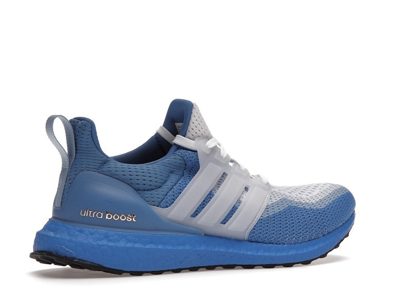 adidas Ultra Boost 2.0 DNA Katie Ledecky (Women's)