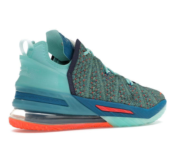 Nike LeBron 18 We Are Family
