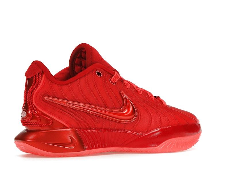 Nike LeBron 21 James Gang