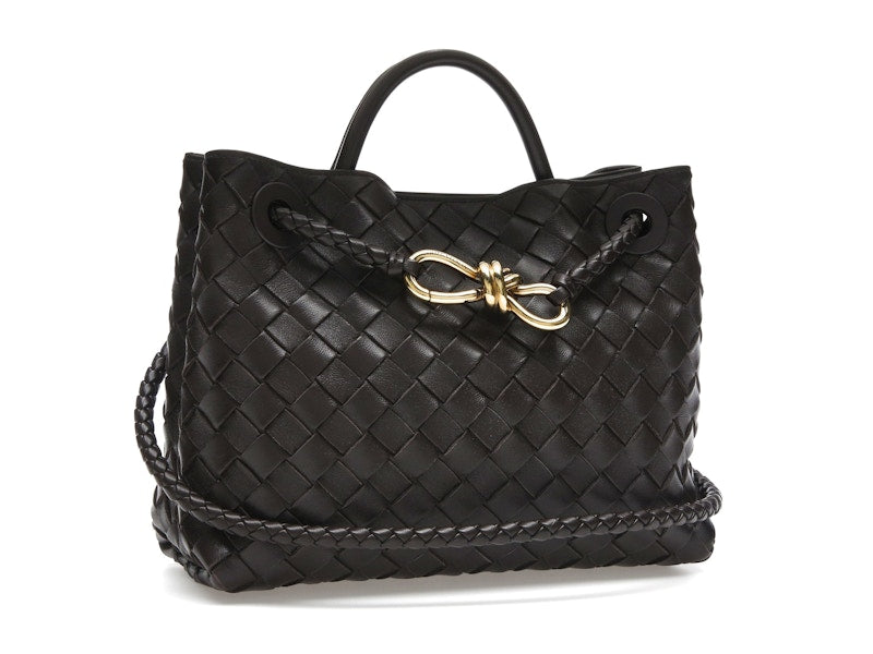 Bottega Veneta Small Andiamo Fondant