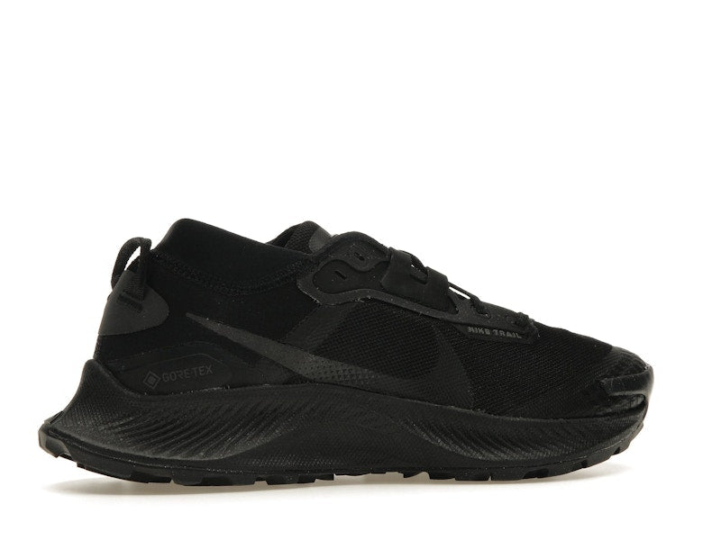 Nike Pegasus Trail 3 Gore-Tex Black Dark Smoke Grey (Women's)
