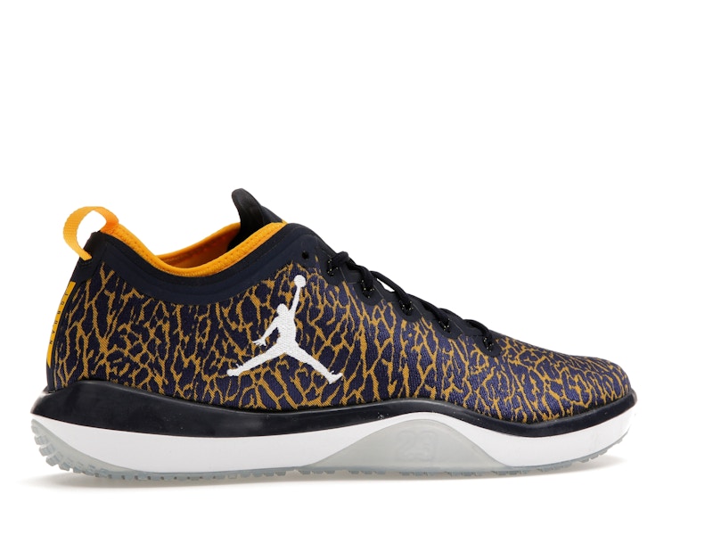 Jordan Trainer 1 Low Michigan