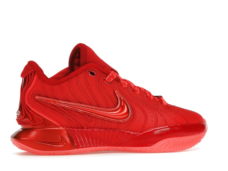 Nike LeBron 21 James Gang