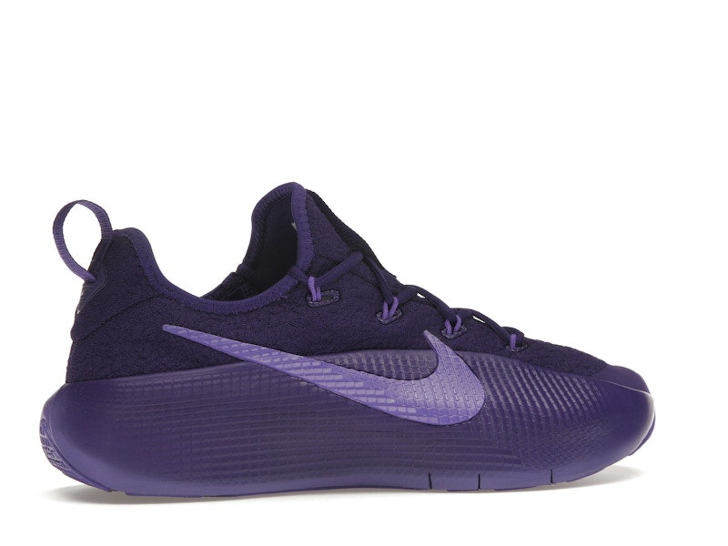 Nike LeBron TR 1 Purple Rain