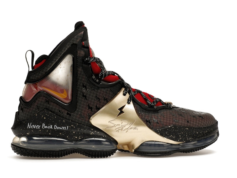 Nike LeBron 19 Doernbecher Sam David