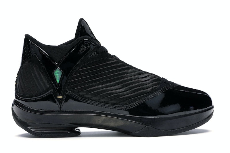 Jordan 2009 S23