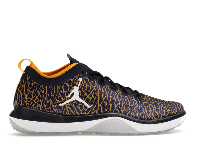 Jordan Trainer 1 Low Michigan