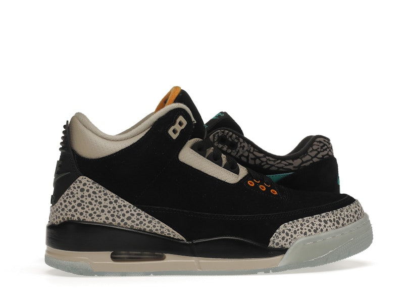 Jordan 3 Retro & Nike Air Max 1 atmos Pack