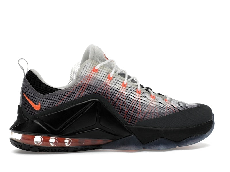 Nike Air Max 95 LeBron 12 Low