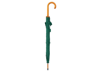 Aime Leon Dore ALD Umbrella Green