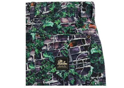 Aime Leon Dore Brownstone Carpenter Pant Black/Ivy Print