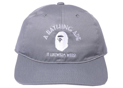 BAPE A Bathing Ape Panel #2 Cap Gray