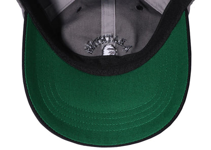 BAPE College Panel Cap (SS22) Gray
