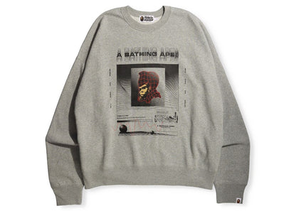 BAPE Graphic #2 Loose Fit Crewneck Gray