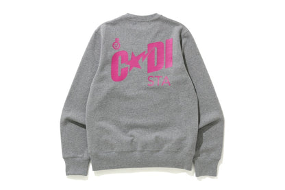 BAPE x Kid Cudi Crewneck Gray