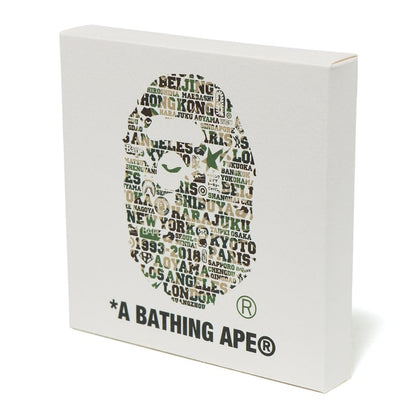 BAPE XXV Japanese Paper Panel White/Green