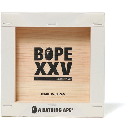 BAPE XXV Japanese Paper Panel White/Green