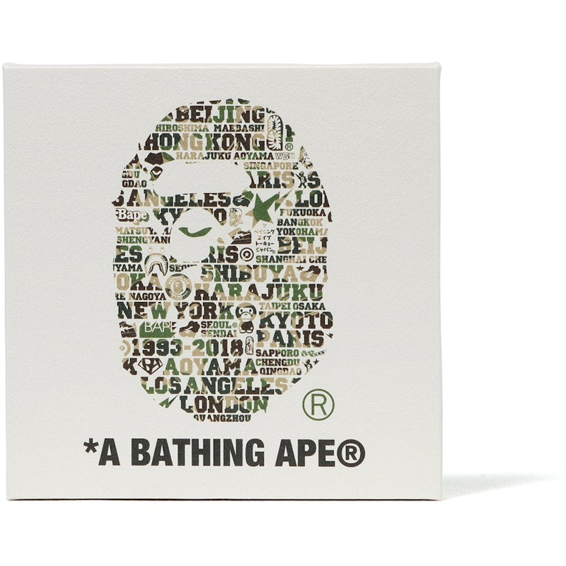 BAPE XXV Japanese Paper Panel White/Green