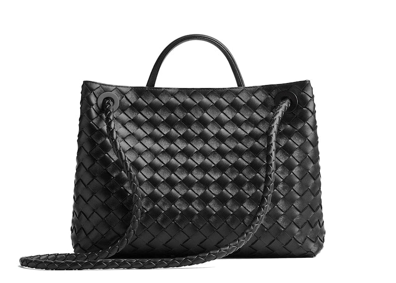 Bottega Veneta Medium Andiamo Black