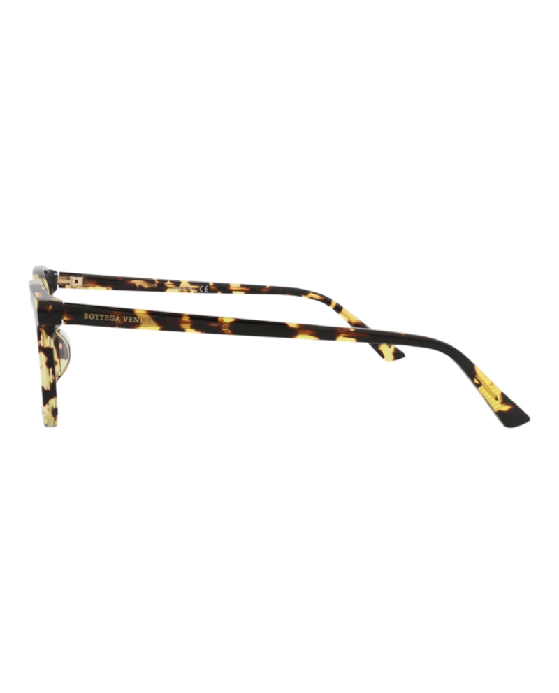 Bottega Veneta Round-Frame Acetate Optical Frames Havana Havana Transparent (BV1025OA-30008302-002)