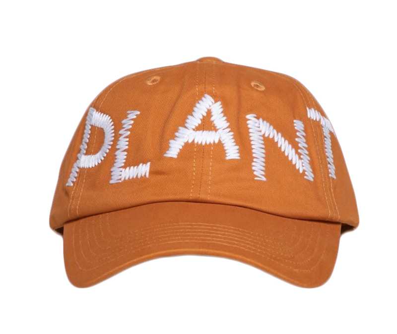 Cactus Plant Flea Market Plant Stitch Cap Orange