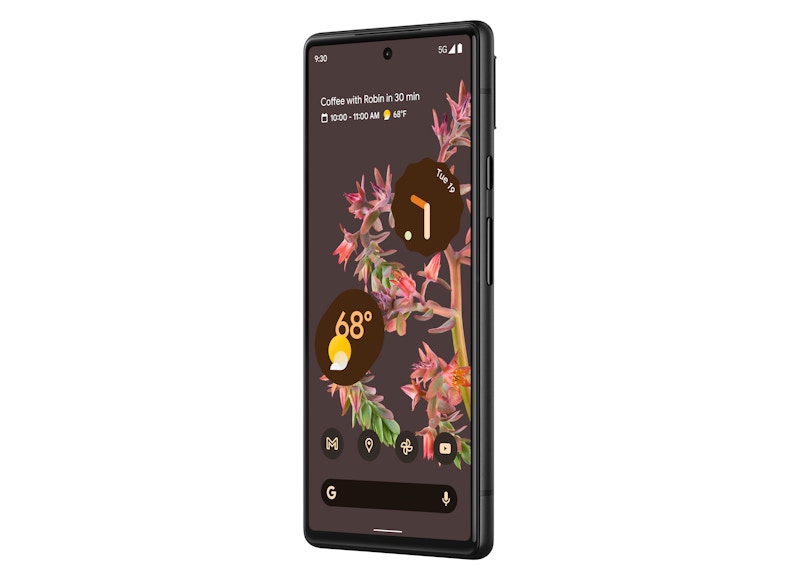 Google Pixel 6 (US Unlocked) Stormy Black