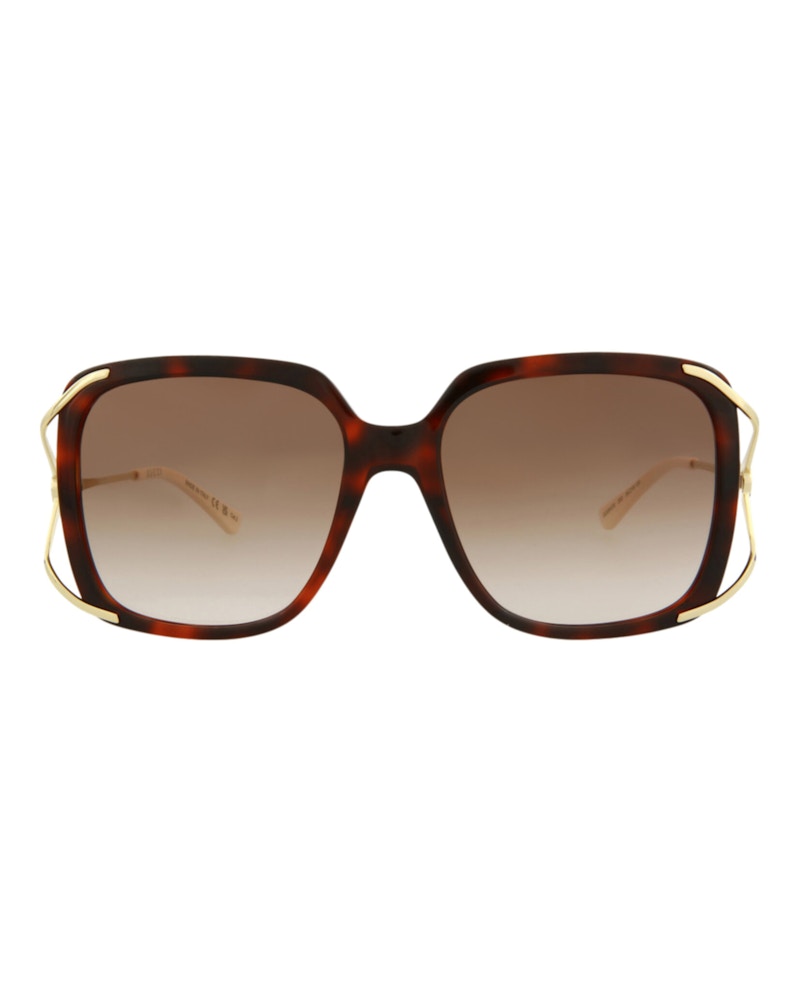 Gucci Square Rectangle Sunglasses Havana/Gold/Brown (GG0647S-30008608-002)
