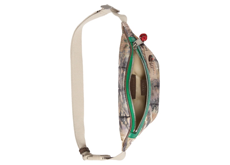Gucci x The North Face Belt Bag Multicolor