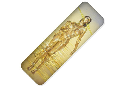 Hajime Sorayama x 2G Body Pillow