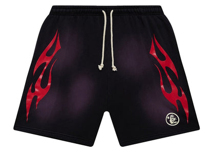 Hellstar Flame Shorts Purple