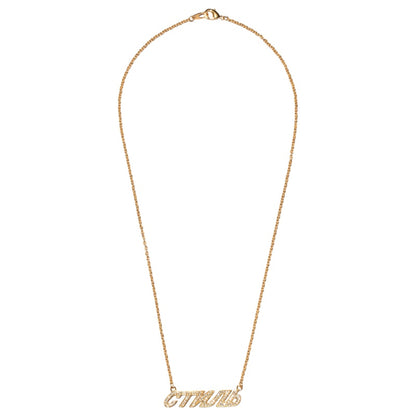 Heron Preston CTNMB Faux Diamond Logo Necklace (SS19) Gold