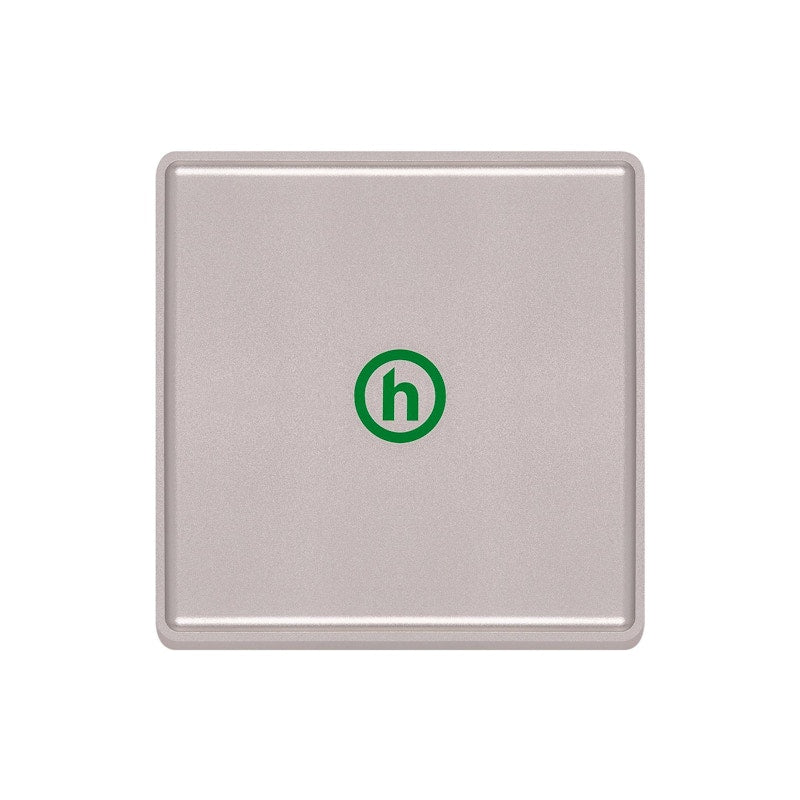 Hidden NY H Logo Tray Silver