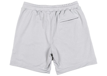 Hidden NY Mesh Short Silver