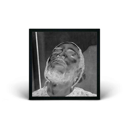 Interscope Records Kendrick Lamar - DAMN. by Toyin Ojih Odutola Gallery Vinyl Record (Signed, Edition of 100)