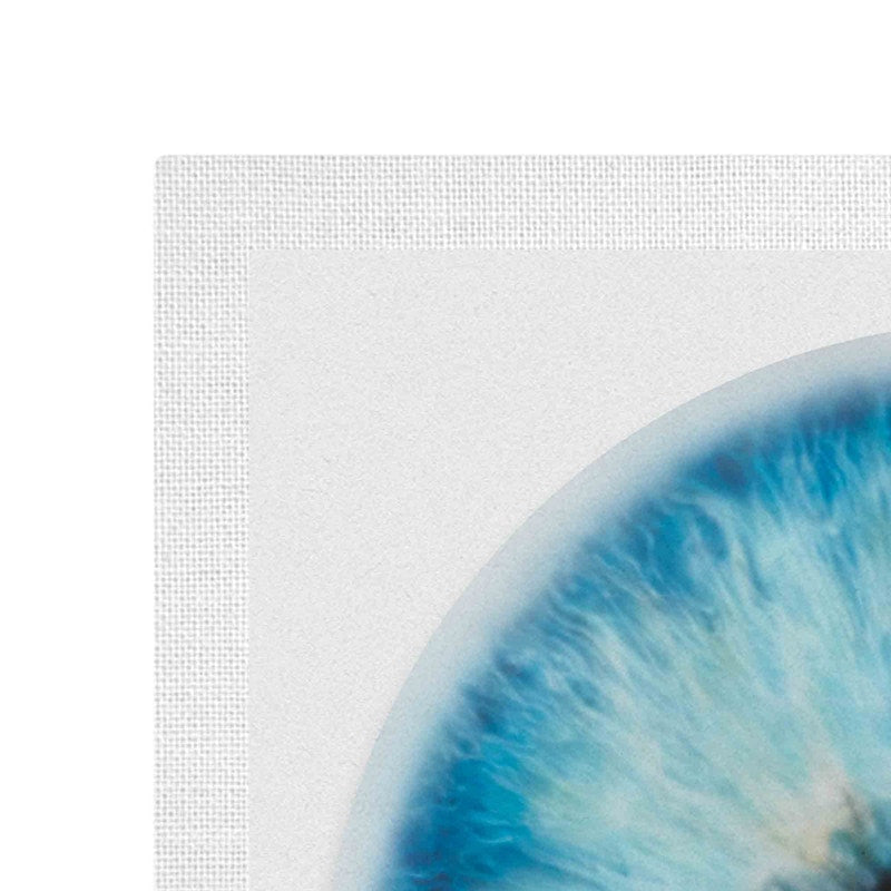 Interscope Records Machine Gun Kelly - Tickets to My Downfall by Marc Quinn Gallery Vinyl Record (Signed, Edition of 100)