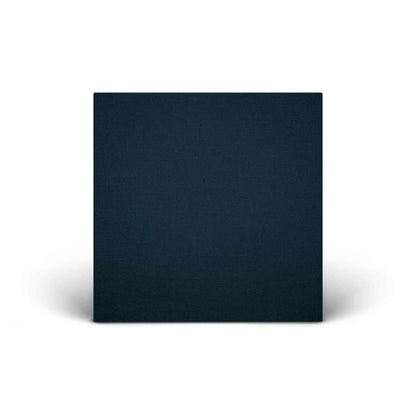 Interscope Records Selena Gomez - Rare by Hilary Pecis Gallery Vinyl Record (Signed, Edition of 100)