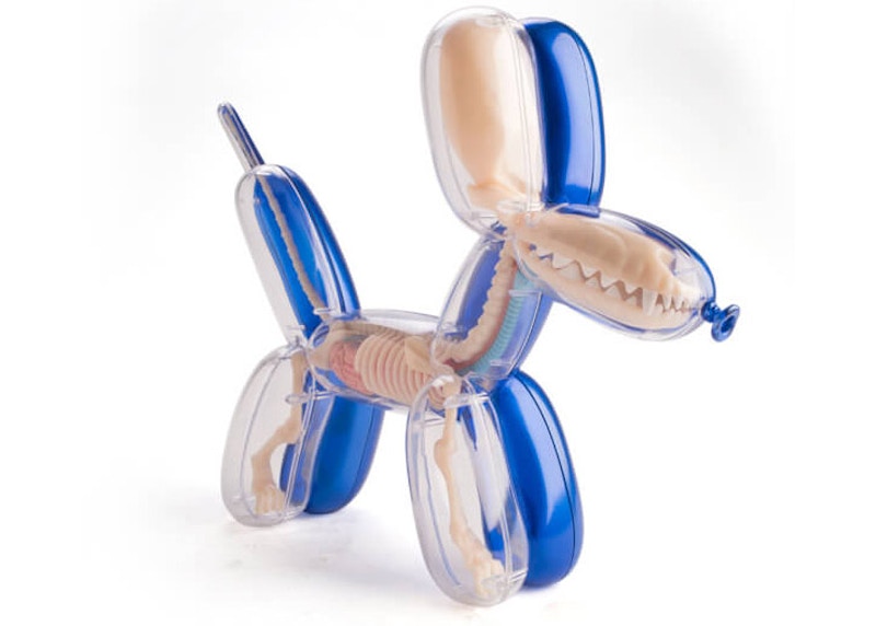 Jason Freeny 4D Master Funny Anatomy Balloon Dog Figure Metallic Blue