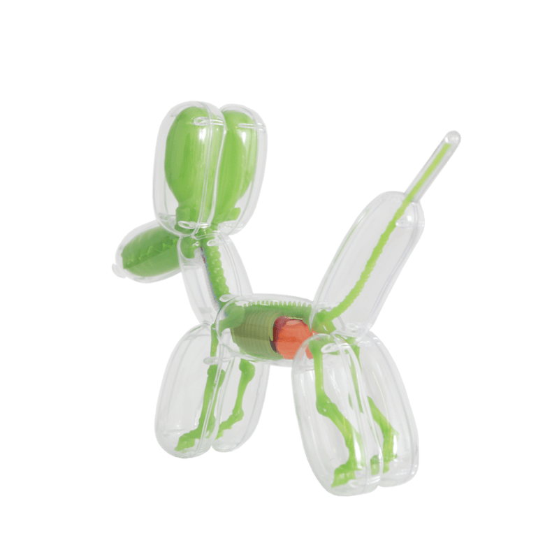 Jason Freeny Balloon Dog Anatomy (GID Edition)