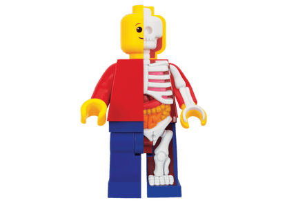 Jason Freeny Mighty Jaxx Bigger Micro Anatomic Junior Figure