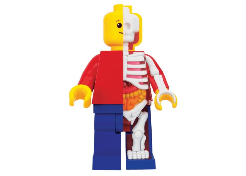 Jason Freeny Mighty Jaxx Bigger Micro Anatomic Junior Figure