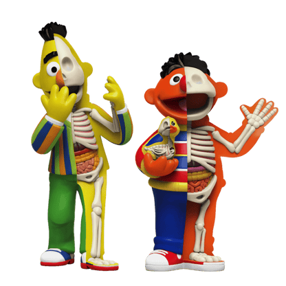 Jason Freeny XXRAY Plus: 9" Bert & 8.5" Ernie Figure