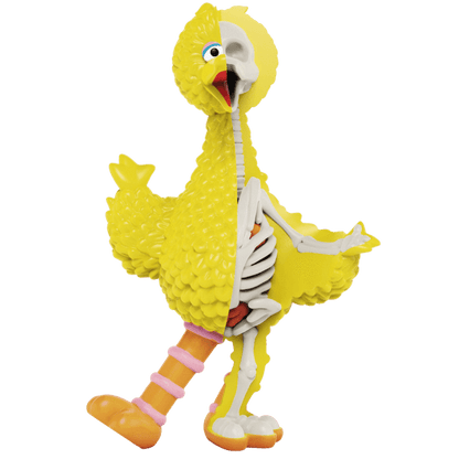 Jason Freeny XXRAY Plus: Sesame Street Big Bird