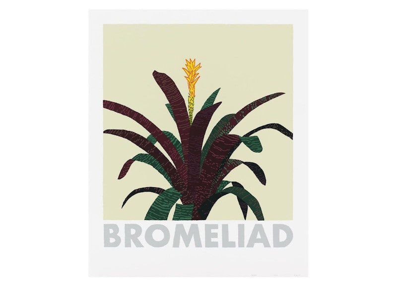 Jonas Wood Bromeliad 2020 Print (Signed, Edition of 200)